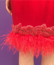 Load image into Gallery viewer, Alberre Odette Dual Colour Cocktail Dress with Feathers
