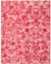 Load image into Gallery viewer, Philosophy di Lorenzo Serafini Floral Print Tulle Scarf in Red
