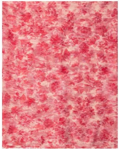 Philosophy di Lorenzo Serafini Floral Print Tulle Scarf in Red