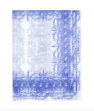 Load image into Gallery viewer, Philosophy di Lorenzo Serafini Printed Tulle Scarf in Blue
